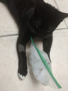 IMG_20171220_195625029