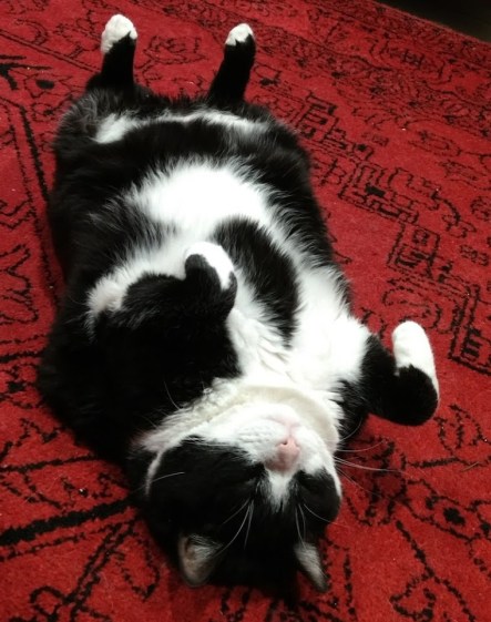 IMG_20170708_205051901