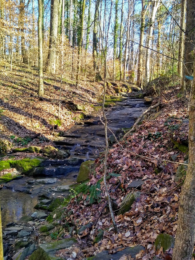 img_20190105_145015473_hdr